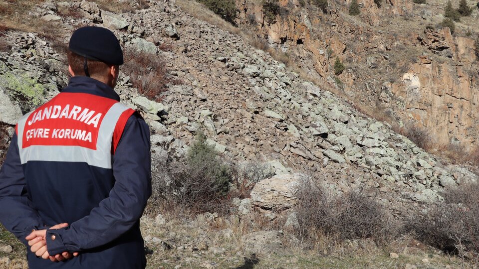 Jandarma Genel Komutanlığı paylaştı... Vaşağı görebildiniz mi?