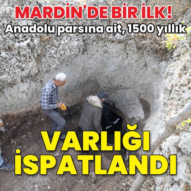 Anadolu parsına ait, 1500 yıllık! Varlığı ispatlandı...