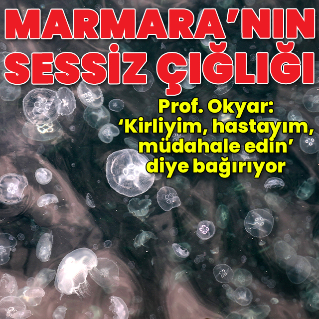 "Marmara'nın sessiz çığlıkları"