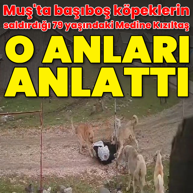 Köpekler saldırmıştı! O anları anlattı