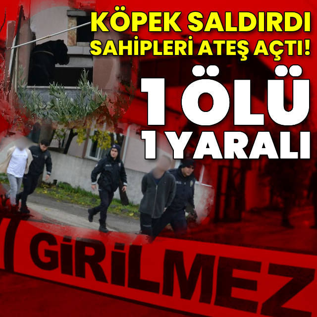 Saldıran köpeğe taş attı! Silahla ateş açtılar