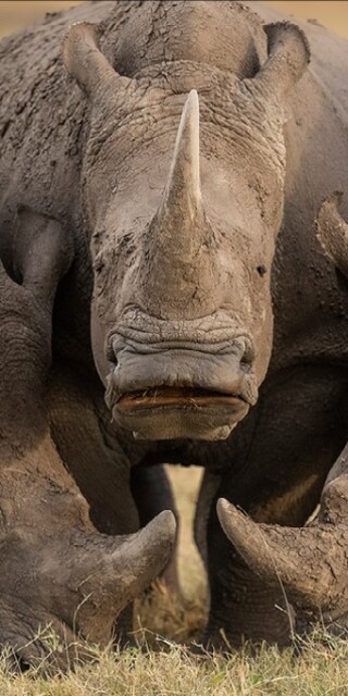  Yılın en iyi doğa fotoğrafları seçildi