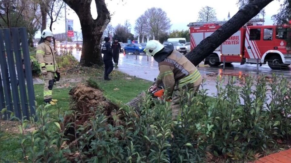 Fırtına ağaçları devirdi