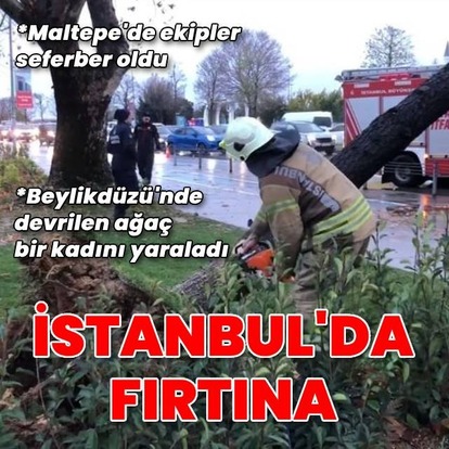 Fırtına ağaçları devirdi