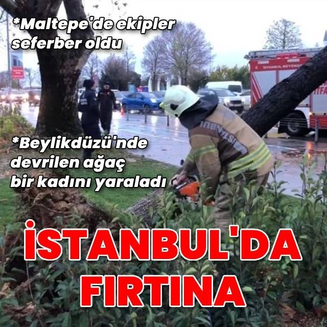 Fırtına ağaçları devirdi