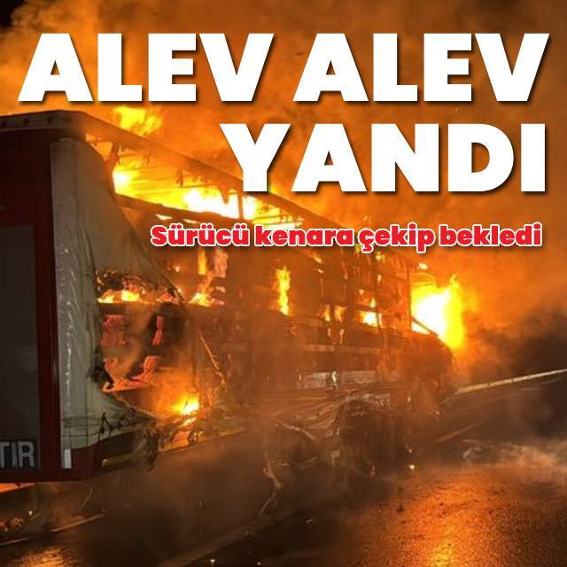 Pamuk yüklü tır alev alev yandı