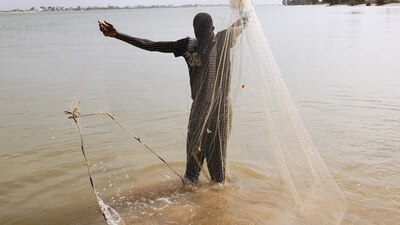  Denizciler neden tuttukları balığı yemez?