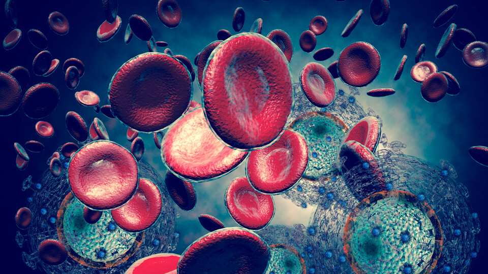 Türkiye'de HIV enfeksiyonu son 10 yılda yüzde 460 arttı