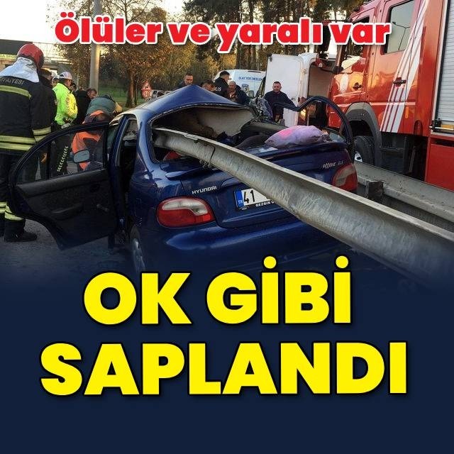 Anne ile oğlu kurtulamadı