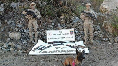 Hakkari'de terör operasyonu