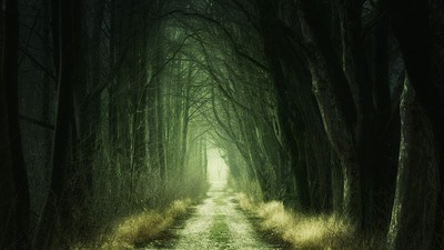 Borsanın çarşamba kabusu