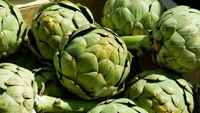 Enginar hangi mevsimde yetişir?