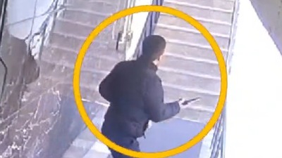 Komşuların kuş çatışması