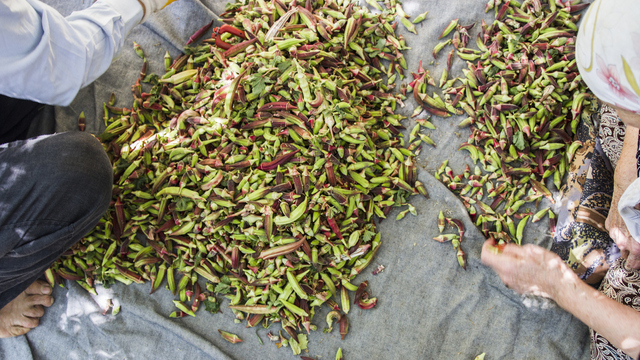 Bamya nasıl pişirilir?