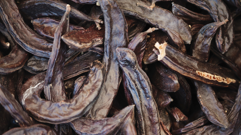 Keçiboynuzu tozu faydaları neler ve ne işe yarar?