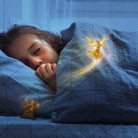 Rüyada Hakim Görmek