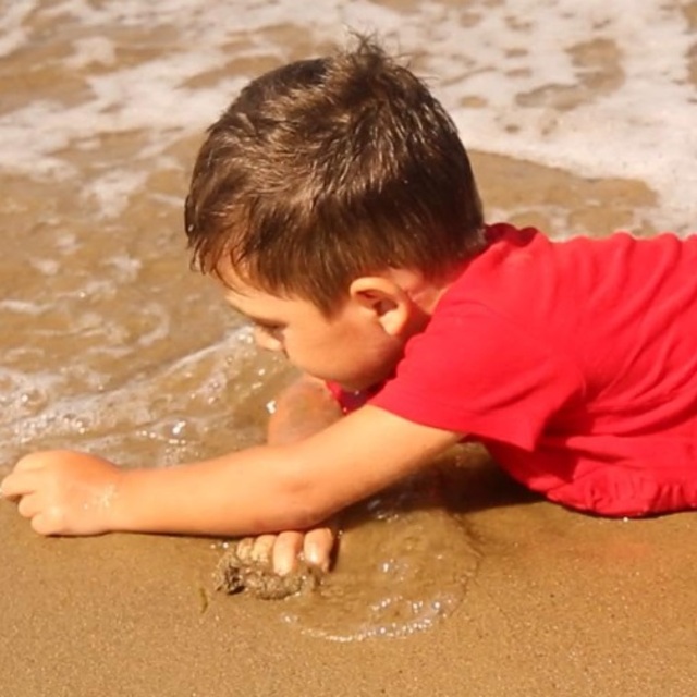 'Aylan Bebek'e Fransa'dan 'En İyi Film' ödülü