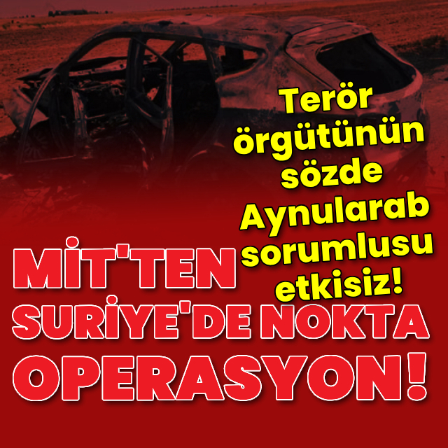 Terör örgütünün sözde Aynularab sorumlusu etkisiz!