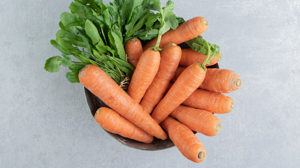 Havuç hangi mevsimde yetişir?