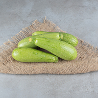 Kabak hangi mevsimde yetişir?