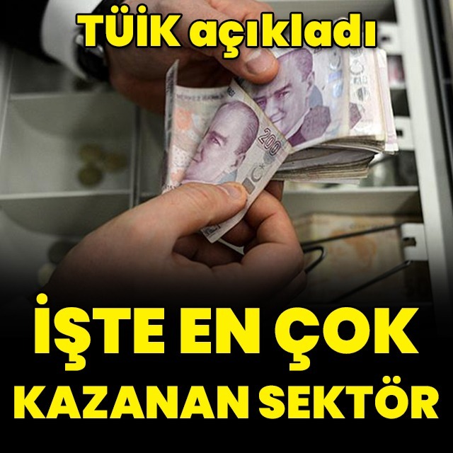 2022 yılında en çok ve en az kazanan sektörler