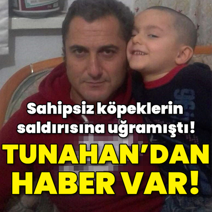 Sahipsiz köpeklerin saldırısına uğramıştı! Tunahan'dan haber var!