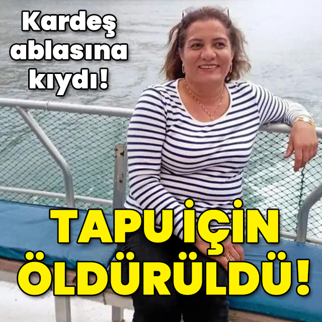 Tapu kavgasında kardeşi öldürdü!