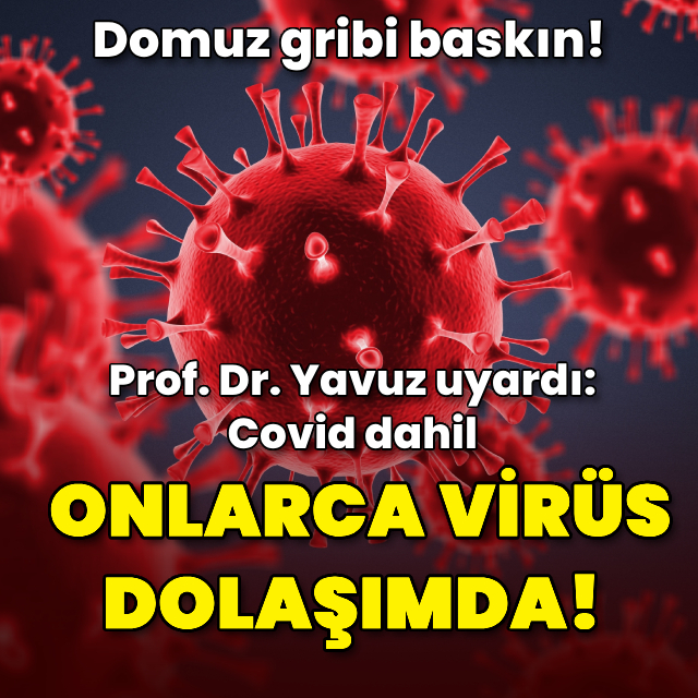 "Maske takmak için en iyi zaman"