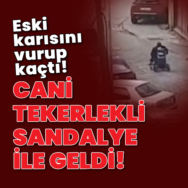 Cani tekerlekli sandalye ile geldi!