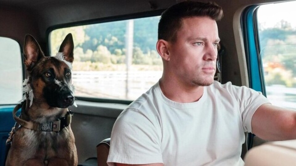 K-9 filminin konusu nedir?