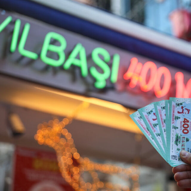 Milli Piyango sonuçları sorgulama ekranı
