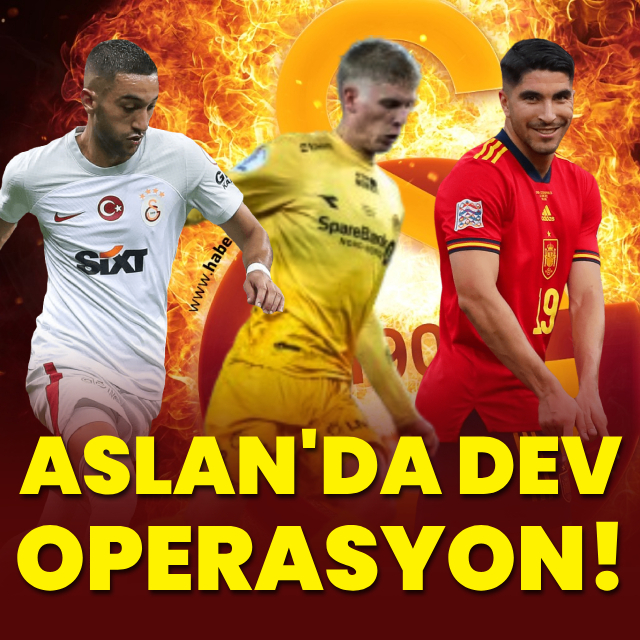 Aslan'da dev operasyon!