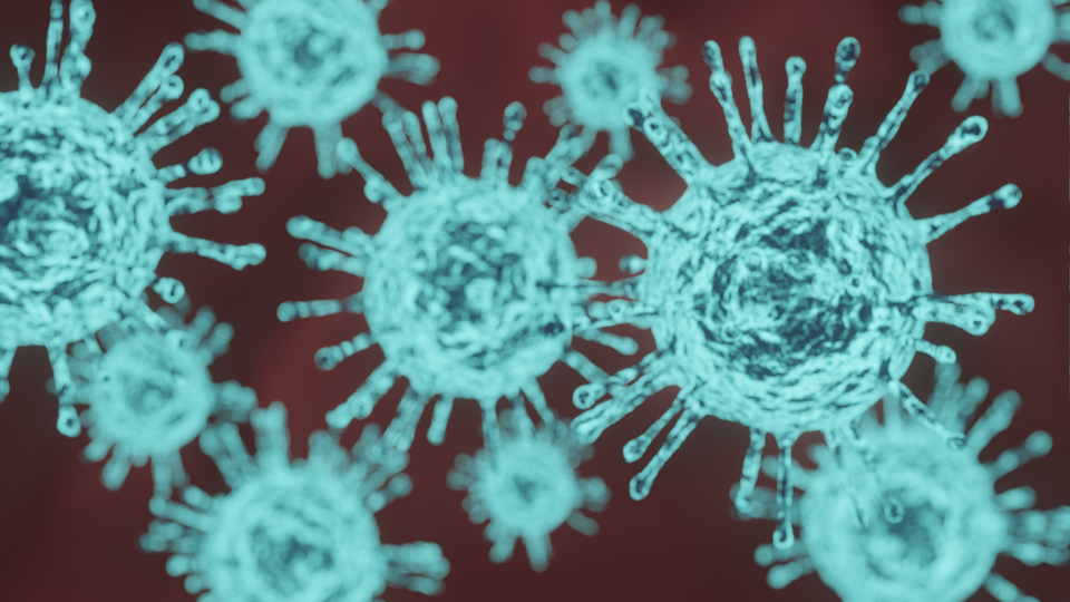 Prof. Dr. Şener'den 'mikoplazma enfeksiyonu' uyarısı!