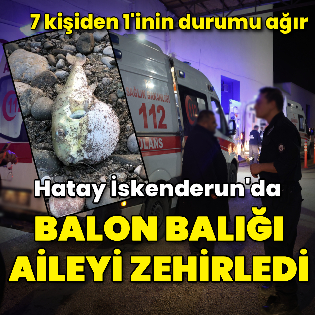 Balon balığı yiyen 7 kişilik aile zehirlendi