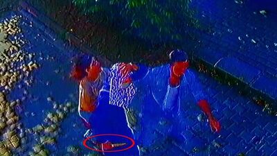 Baba ile kızı bıçaklanarak öldürülmüştü! Vahşet anı kamerada!