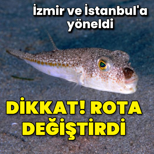 Aman dikkat! Rota değiştirdi!