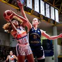 Fenerbahçe Alagöz, İtalya'da mağlup