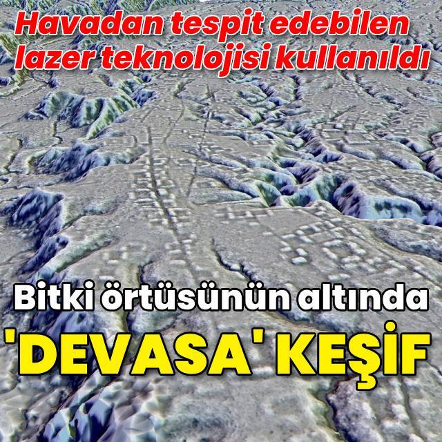 Bitki örtüsünün altında devasa keşif!