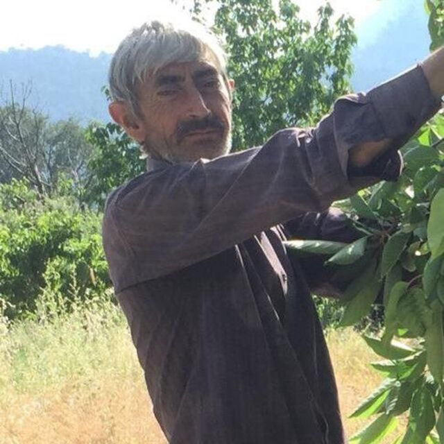 Kestiği ağaç üzerine devrildi, hayatını kaybetti