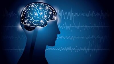 IMF: Yapay zeka işlerin yüzde 40'ını etkileyecek