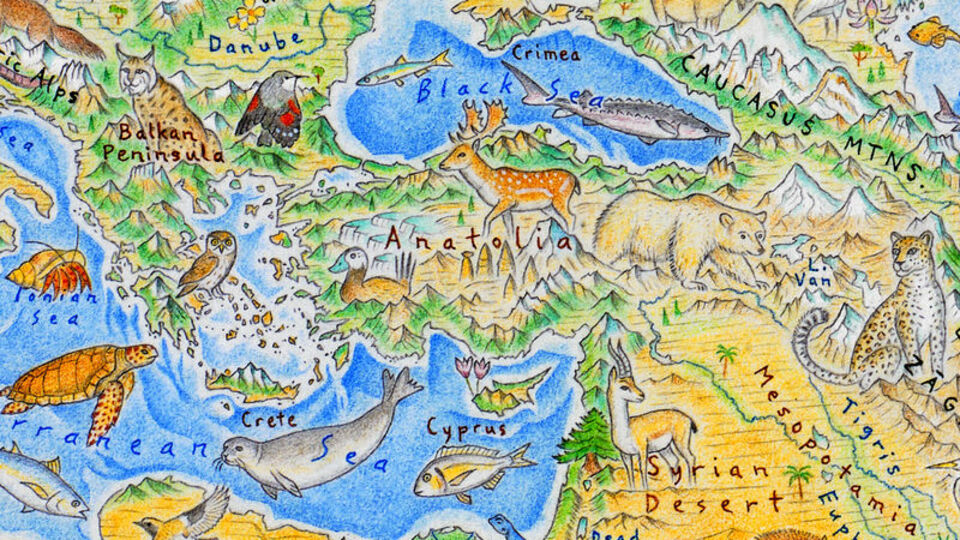 3 yıl uğraş verdi! Vahşi hayvan haritası çizdi