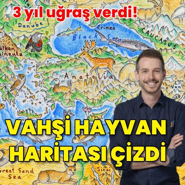 3 yıl uğraş verdi! Vahşi hayvan haritası çizdi