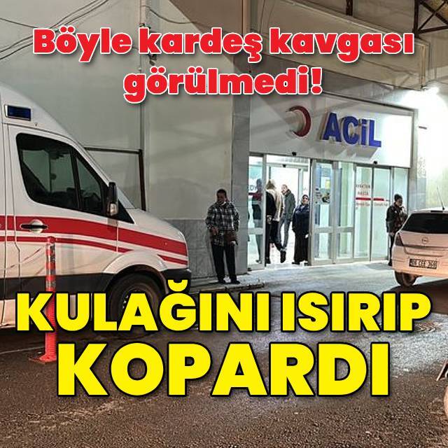 Tartıştığı kardeşinin kulağını ısırarak kopardı