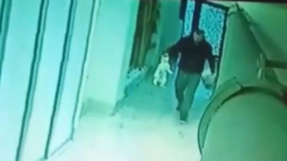 Kameraya yakalandı! Kedileri toplayıp evinde öldürüyor!