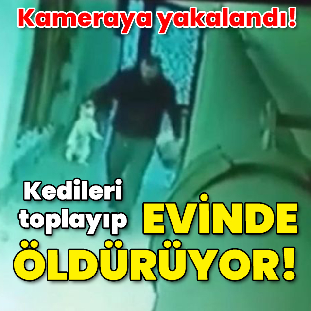 Kameraya yakalandı! Kedileri toplayıp evinde öldürüyor!