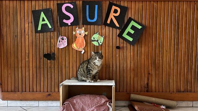 'Aşure'nin yanından ayrılmıyorlar