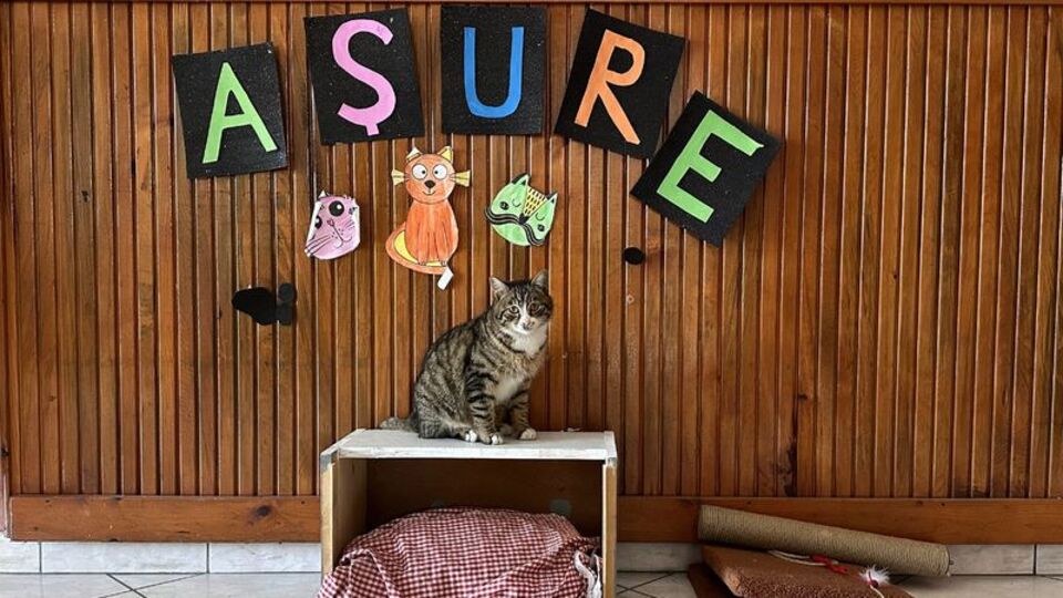 'Aşure'nin yanından ayrılmıyorlar