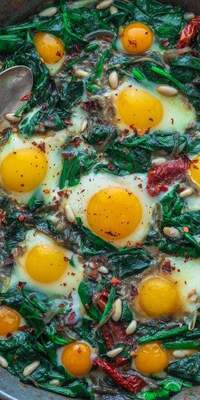  Yumurtanın 15 farklı hali