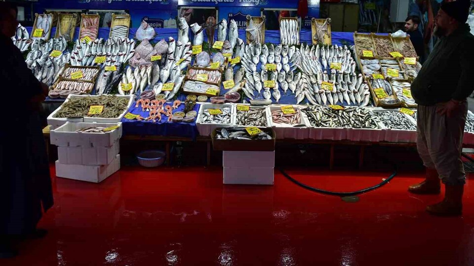 Balık fiyatlarında düşüş