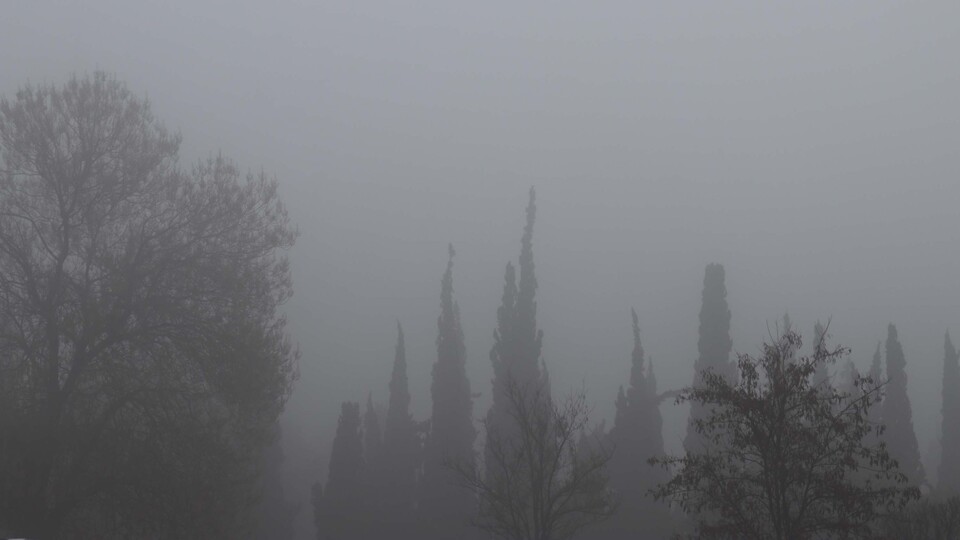 Gaziantep'te hava ulaşımına sis engeli